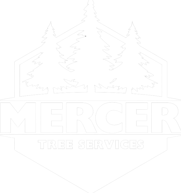 Mercer Tree Services